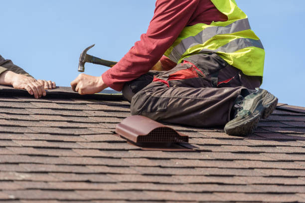 Best Roof Gutter Cleaning  in Fenton, MI