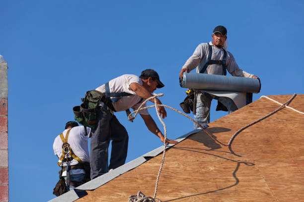 Best Roof Maintenance Services  in Fenton, MI