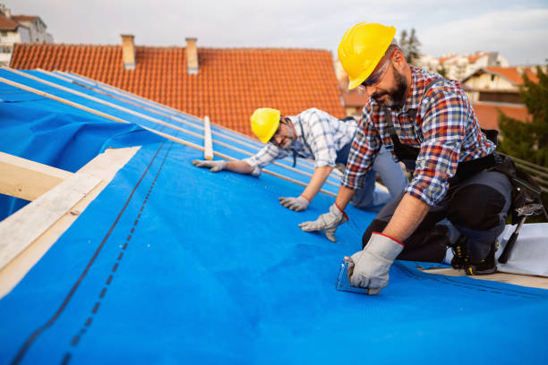 Best Gutter Installation and Roofing  in Fenton, MI